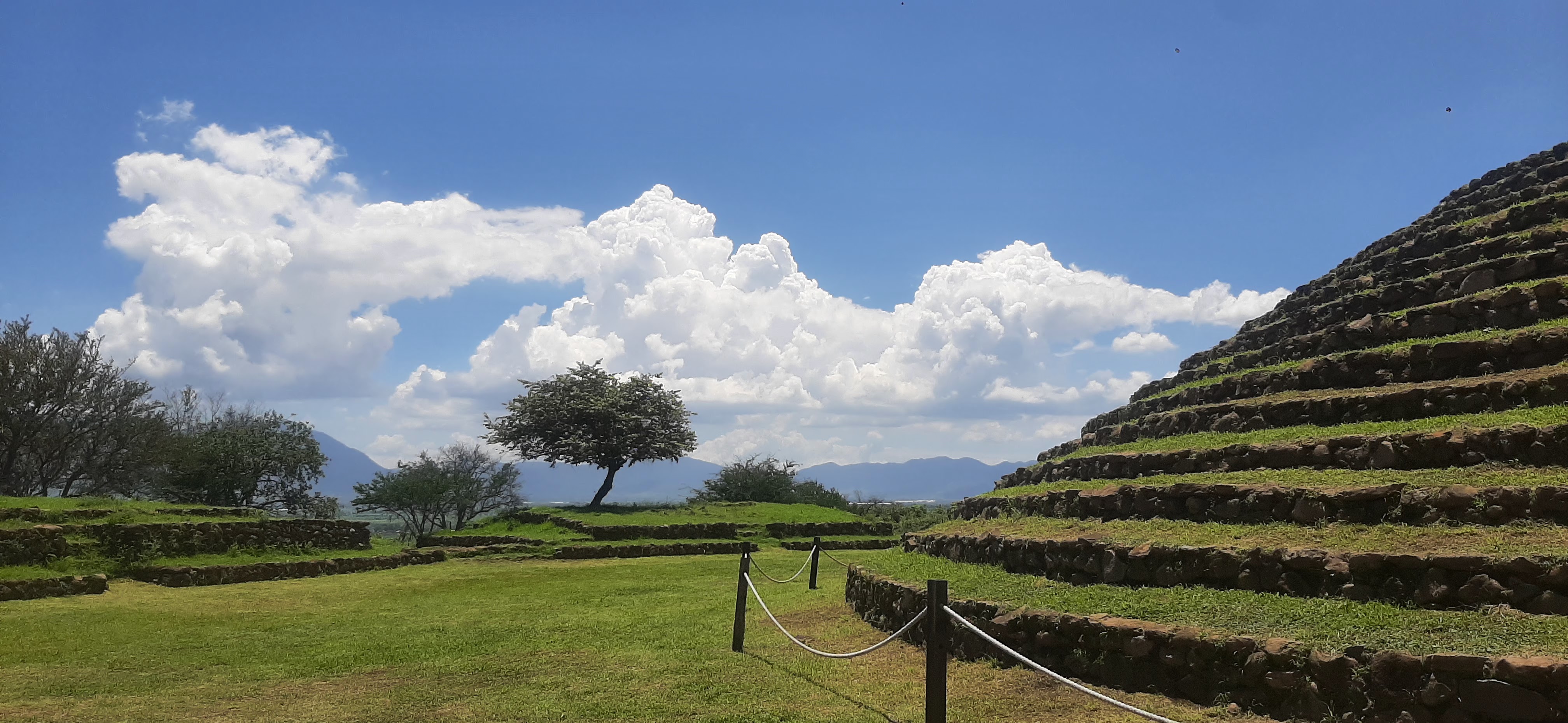 Estructuras circulares